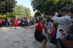 Bolero surprise 5 * 5760 x 3840 * (9.71MB)